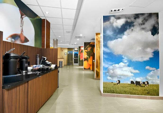 Fairfield Inn & Suites By Marriott Smithfield Eksteriør bilde